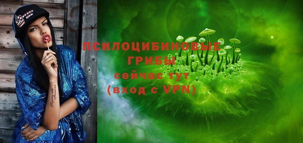 apvp Дмитриев